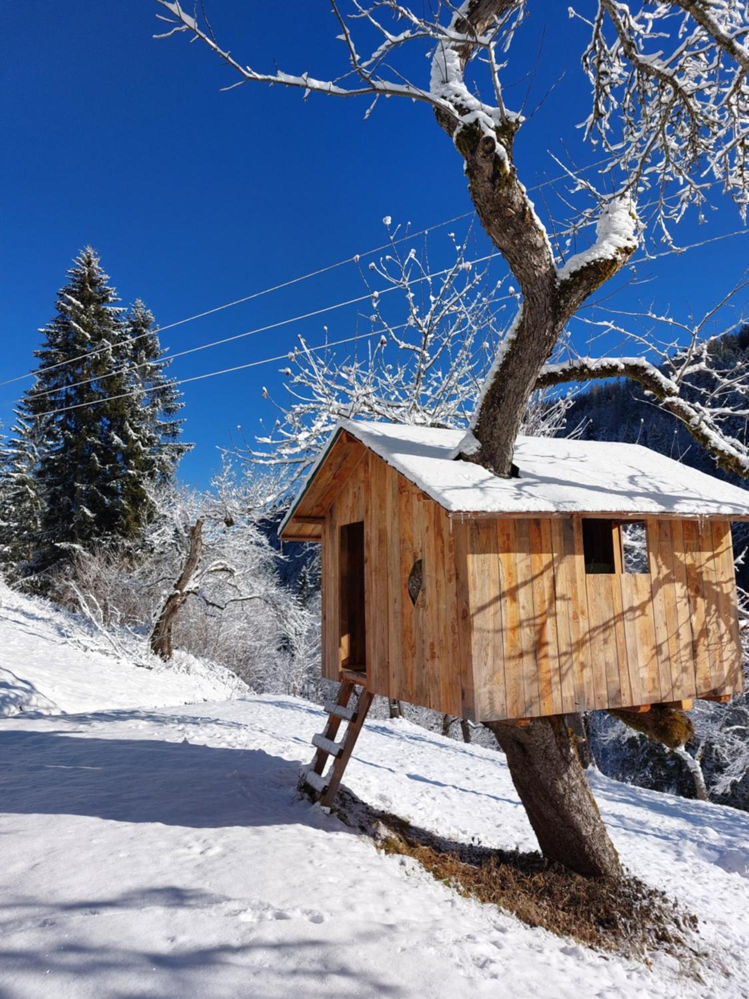 Landhaus Grünjuwel Himmelberg Exterior foto